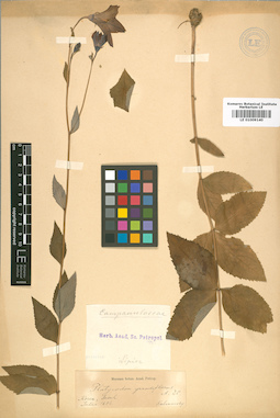 LE 01009140