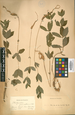 LE 01009141