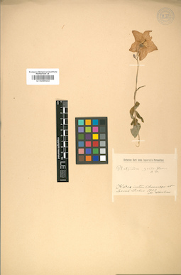 LE 01009142
