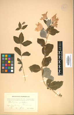 LE 01009143