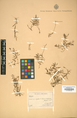 LE 01009148