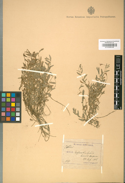 LE 01009149
