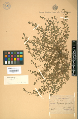 LE 01009155