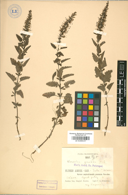 LE 01009157
