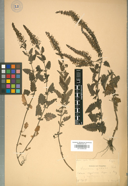 LE 01009158