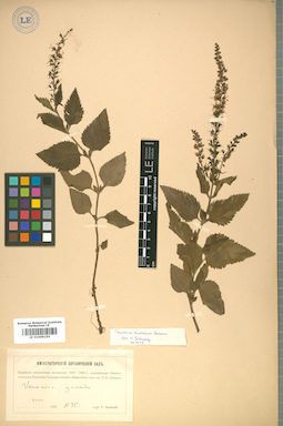 LE 01009159