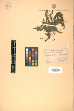 LE 01009163