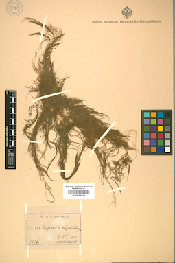 LE 01009165