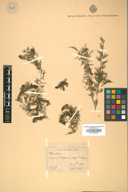 LE 01009166