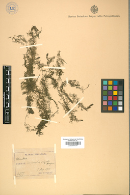 LE 01009167