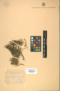 LE 01009168