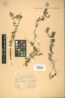 LE 01009169