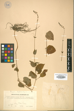 LE 01009173