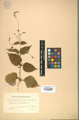 LE 01009175