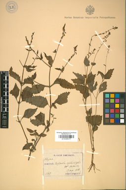 LE 01009177