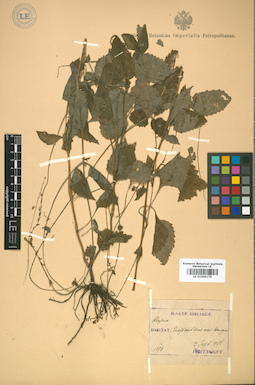 LE 01009178