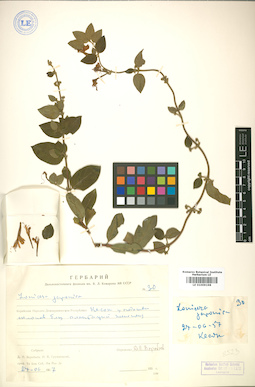 LE 01009198