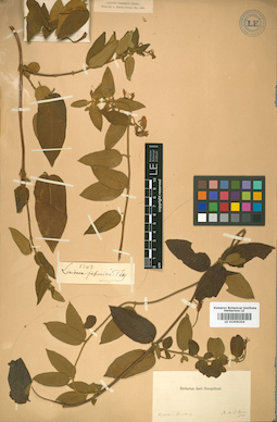 LE 01009204
