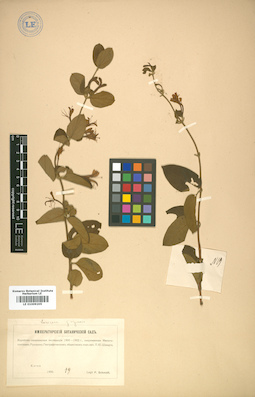 LE 01009205