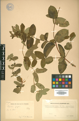 LE 01009206