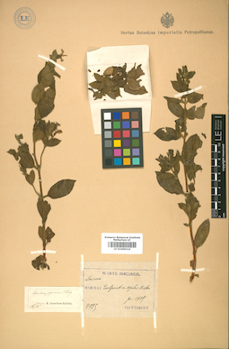 LE 01009210
