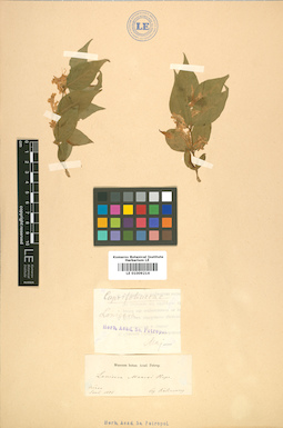 LE 01009214
