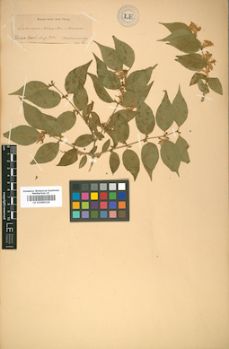 LE 01009216