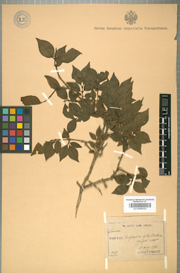 LE 01009221