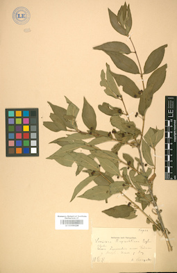 LE 01009229