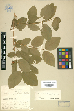 LE 01009231