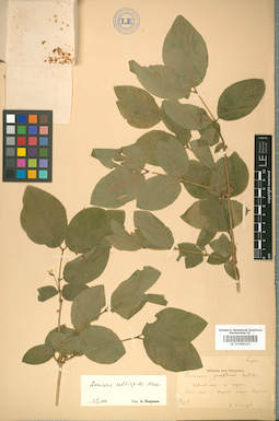 LE 01009232