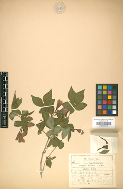 LE 01009238