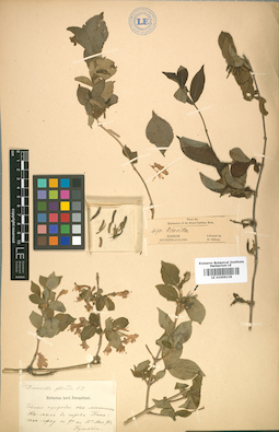 LE 01009239