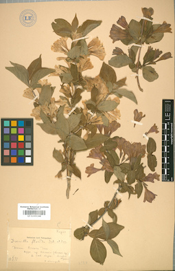 LE 01009244