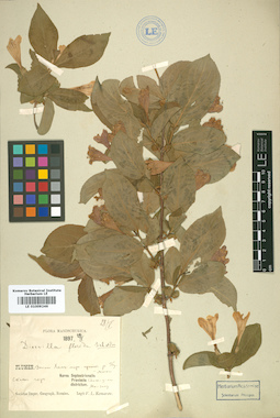 LE 01009246