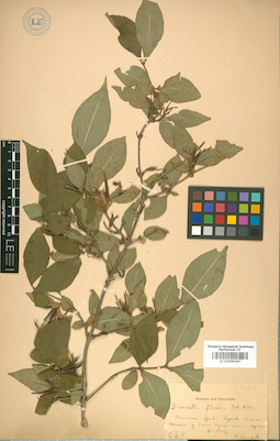 LE 01009247