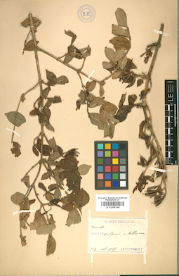 LE 01009248