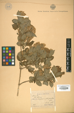 LE 01009251