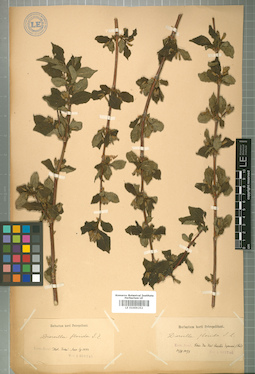 LE 01009252