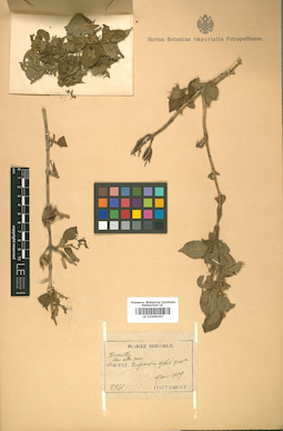 LE 01009257