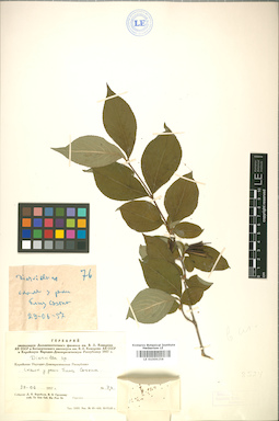LE 01009258