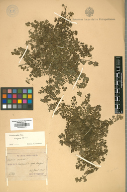 LE 01009273