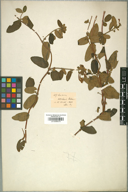 LE 01009274