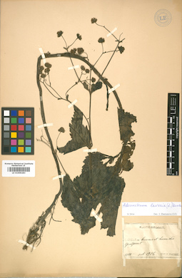 LE 01009283