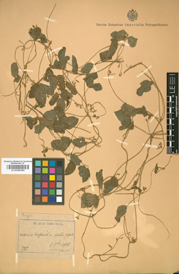 LE 01009284