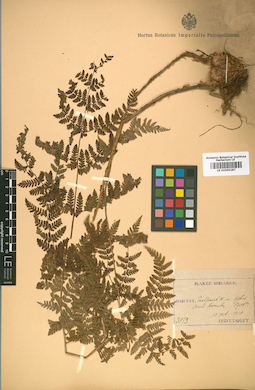 LE 01009287