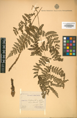 LE 01009288