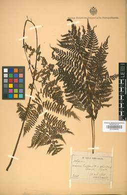 LE 01009291