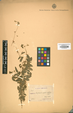 LE 01009293