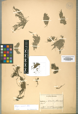 LE 01009346